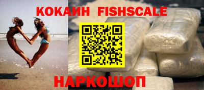 гидра Будённовск