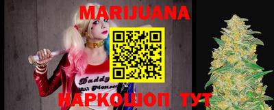 гидра Будённовск