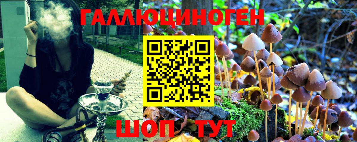 Невинномысск  Псилоцибиновые грибы GOLDEN TEACHER  продажа наркотиков  Вход с VPN 
